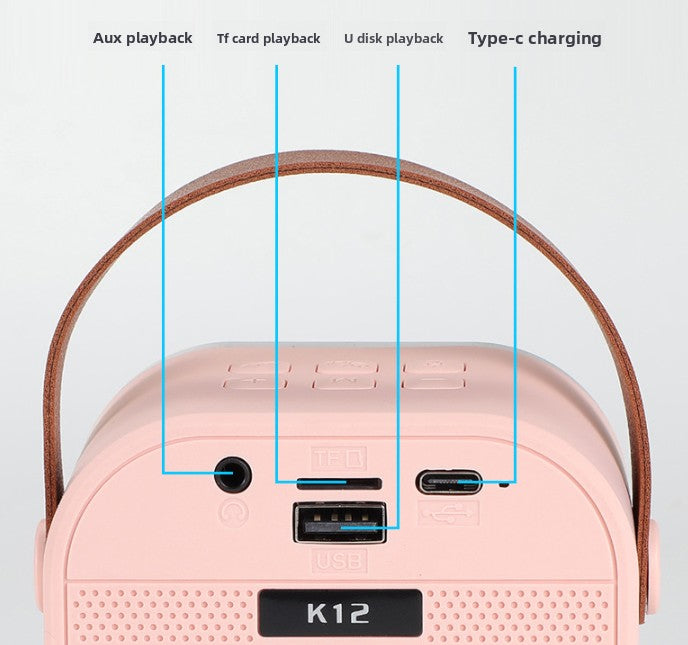 double wheat Portable Mini Karaoke Machine with Wireless Microphone - Bluetooth Speaker for Kids & Adults