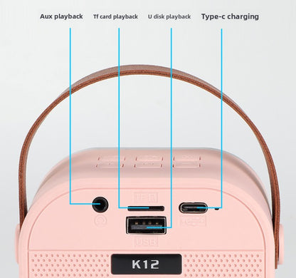 double wheat Portable Mini Karaoke Machine with Wireless Microphone - Bluetooth Speaker for Kids & Adults